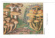 CPSM CHAMPIGNONS D EUROPE ARMILLAIRE HYPHOLOME  PAR ROGER HEIM PUB TYZINE - Mushrooms