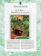 Renard Roux Animal Puzzle Allemagne Télécarte 2300 Exemplaires Phonecard  P028/029 - O-Series : Series Clientes Excluidos Servicio De Colección