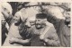 38625- ALBUM NR 8, GERMANY AWAKES, PICTURE NR 161, ADOLF HITLER - Histoire