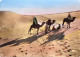 Algérie (Scènes Et Types Collection Artistique L´Afrique) Dans Les Dunes  (Cpsm-CIM Cliché PROUHO 1028)*PRIX FIXE - Scenes