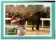 CARTE 13 CONGRE PHILATELIQUE CENTRE LOIRE  Timbre Le Trotteur  Epernon 1998   Mars 2016 238-109 - Hippisme