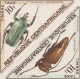 Centrafrique 1962 Y&T Taxe 9/10. Épreuve D´artiste. Insectes, Scarabées. Inscription Erronée. Taurhina Longiceps - Fehldrucke