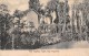 04988 "RIO CAPITAN , TIGRE, REP. ARGENTINA" CART. POST. ORIG. NON SPEDITA. - Argentine