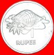 § TRITON SHELL: SEYCHELLES &#9733; 1 RUPEE 1977! LOW START&#9733;NO RESERVE! - Seychelles