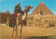 O2228 Giza - Camel Driver Near The Sphinx And Khafre Pyramid - Nice Stamps Timbres Francobolli / Viaggiata 1991 - Gizeh