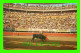 TIJUANA, MEXIQUE - MEXICAN BULLFIGHTER AT EL TOREO DE TIJUANA DOWNTOWN BULLRING - TRAVEL - - Mexique