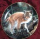 Baby Wild CAT "Exploring World" Hamilton Collectible PLATE By Charles Frace P39 - Other & Unclassified