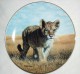 Baby Wild CAT "Young Explorer" Hamilton Collectible PLATE By Charles Frace P33 - Andere & Zonder Classificatie