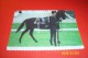 M 346 ° CANADA   AVEC PHILATELIE  ° BLACK JACK  ° THE REDERLESS HORSE  LE 27 08 1988 - Modern Cards