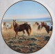 YOUNGBLOOD KNOWLES Collectible PLATE By Nancy Glazier HORSE P52 - Autres & Non Classés
