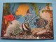 301 AQUARIUM () Copyright By Printing Studio Zürich / Anno 19?? ( Plastic Card : Zie Foto Voor Details ) !! - Fish & Shellfish