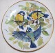 SONG BIRDS - SING VOGEL German Collector PLATE Ursula Band WWF G8 - Other & Unclassified