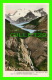 JASPER, ALBERTA - MT. ATHABASKA AND SUNWAPTA CANYON FROM THE LOOKOUT ON THE BANFF-JASPER HIGHWAY - - Jasper