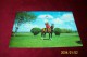 M 355 ° CANADA   AVEC PHILATELIE  ° THE ROYALE CANADIAN MOUNTED POLICE - Cartes Modernes