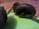 Headphone, WWII Tank, H-16/U 8000, MX 175/u, National Scientific Prod Co Chicago Ill - Radios