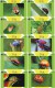 Delcampe - A02426 China Phone Cards Bettle 100pcs - Autres & Non Classés