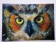 OWL - 2 PCs Lot - Modern Art Postcard  - Eagle-owl - Vogels