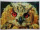 OWL - 2 PCs Lot - Modern Art Postcard  - Eagle-owl - Uccelli