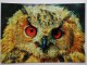 OWL - 2 PCs Lot - Modern Art Postcard  - Eagle-owl - Oiseaux