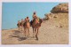 CAMEL CARAVAN, 1979 With Bahrain 150 Fils Stamp - Bahrain