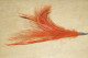 PLUME à CHAPEAU Tige PLUMET Fauve Orange Couleurs Chatoyantes 18 Cms - Headdresses, Hats, Caps