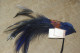 PLUME à CHAPEAU Tige OISEAU DES ILES  BLEU Electrique  Couleurs Chatoyantes 14 Cms - Headdresses, Hats, Caps