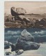 3 CPA FINISTERE BRIGNOGAN  ROCHERS MENHIR  ROCHE TREMBLANTE  CHAMEAU - Brignogan-Plage