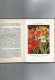 Petit Livre  ( Gartenblumen ) Beaucoup De Pages En Couleurs - Nature