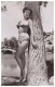 Sexy JAN STERLING Actress PIN UP Postcard - Publisher RWP 2003 (05) - Artiesten