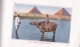 Delcampe - Bildband "Souvenir Of Egypt" Mit 20 Farbigen Abbildungen (20 ARTISTIC VIEWS) - Geography