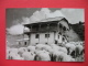 PELISTER,SHEEPS - North Macedonia