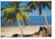 PK-CP Seychelles/Seychellen, Ungebraucht, Siehe Bilder! - *) - Seychellen