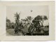 France Nice Promenade Des Anglais Fête Des Fleurs Ancienne Photo Trampus 1920 - Places