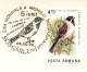 BIRDS-COMMON RED BUNTING-SPECIAL POSTMARK- ON COVER-ROMANIA-SCARCE-BX1-279 - Pics & Grimpeurs