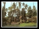 Yam Houses, Trobriand Island Village, Milne Bay Province PNG 1048 / Postcard Not Circulated - Océanie