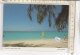PO4946D# CAYMAN ISLANDS - WINDSAILOR - WINDSURF  VG 1995 - Caimán (Islas)