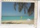 PO4946D# CAYMAN ISLANDS - WINDSAILOR - WINDSURF  VG 1995 - Cayman Islands