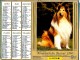 ALMANACH DU FACTEUR 1994 (57) - Complet **  COLLEY - DEUX YORKSHIRES ** - Calendrier OLLER N°305 - Grand Format : 1991-00