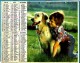 ALMANACH DES P.T.T.1986 (57) - Complet **TIPHANIE ET LASSIE - NICOLAS ET SON CHIEN ** - Edit :JEAN CARTIER BRESSON N°208 - Big : 1981-90