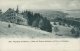 CH FEUSISBERG / Hôtel Und Pension Schönfels Und Blick Auf Zürichsee / - Feusisberg