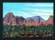 SAUDI ARABIA  -  Al-Ula  Palm Groves  Used Postcard As Scans - Arabia Saudita