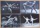 Soviet Ballet. Set Of 30 Postcards. 1970 - Théâtre