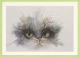 CARTE ILLUSTRATEUR  - Jean Marie BRUN - CHAT - ART NOUVEAU  - Format : 13 X 19cm - Autres & Non Classés