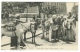 Egypte // Le Caire  Donkey Boys, Scene In Opéra Square - Le Caire