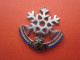 BADGE SPORTIF DE NIVEAU ECOLE DE SKI FRANCAIS 1 ETOILE SANS ACROCHE AU VERSO SPORTS D'HIVER SKI - Winter Sports