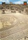 MAROCCO - MAROC, VOLUBILIS, Mosaico De La Casa De Orfeo, 2 Scans - Meknès