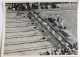 VIGNETTE JEUX OLYMPIQUES J.O BERLIN OLYMPIA 1936 PET CREMER DUSSELDORF BILD 93 NATATION 100 METRES - Trading Cards