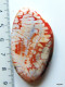 Cabochon Agate De Feu Pierre Semi-précieuse Orange Blanc Environ 49x28x6mm   Un Cabochon Très Original Et De Très Belle - Perles