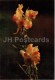 Yellow Toadflax - Linaria Vulgaris - Medicinal Plants - 1976 - Russia USSR - Unused - Geneeskrachtige Planten