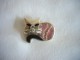 Neuf - Broche En Argent 925 En Forme De Chat Serti De Pierre Rhodoite Rose D'Argentine - Spille